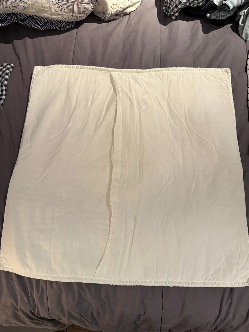 Pottery Barn Embroidered Shams